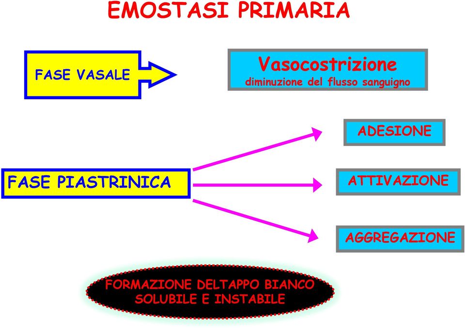 sanguigno ADESIONE FASE PIASTRINICA