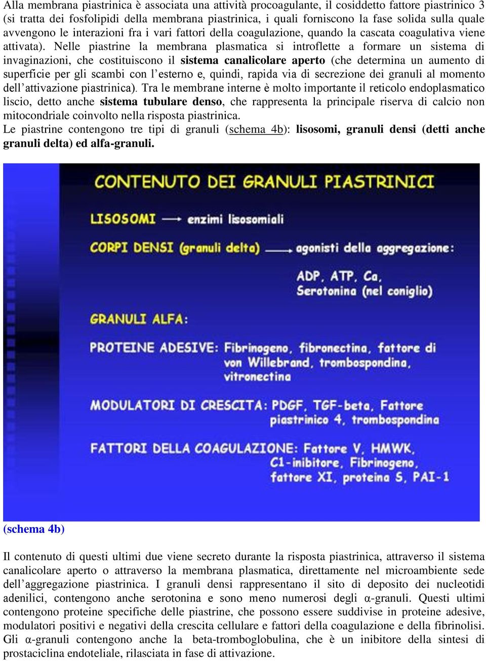 Nelle piastrine la membrana plasmatica si introflette a formare un sistema di invaginazioni, che costituiscono il sistema canalicolare aperto (che determina un aumento di superficie per gli scambi