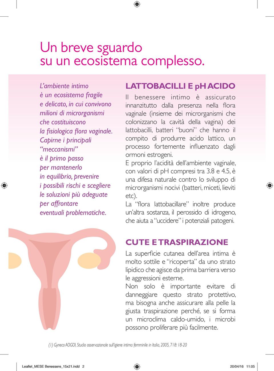 LATTOBACILLI E ph ACIDO Il benessere intimo è assicurato innanzitutto dalla presenza nella fl ora vaginale (insieme dei microrganismi che colonizzano la cavità della vagina) dei lattobacilli, batteri