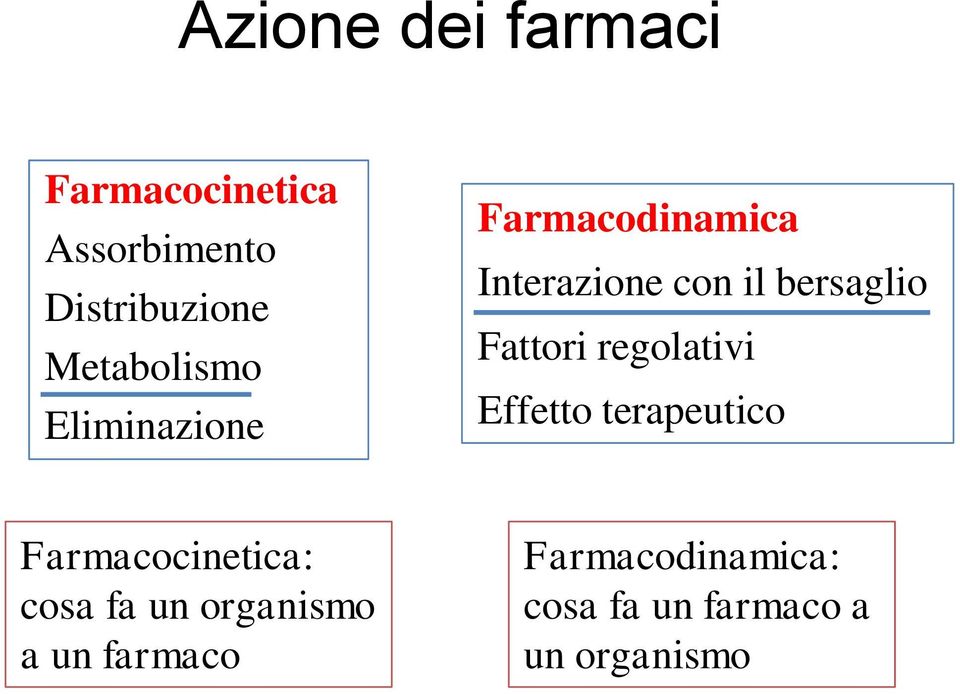 bersaglio Fattori regolativi Effetto terapeutico Farmacocinetica: