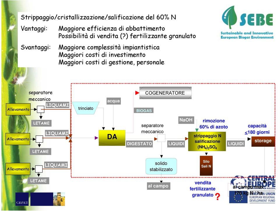 Allevamento trinciato acqua BIOGAS COGENERATORE Allevamento LETAME LETAME LIQUAMI DA DIGESTATO separatore meccanico LIQUIDI NaOH rimozione 60% di azoto strippaggio