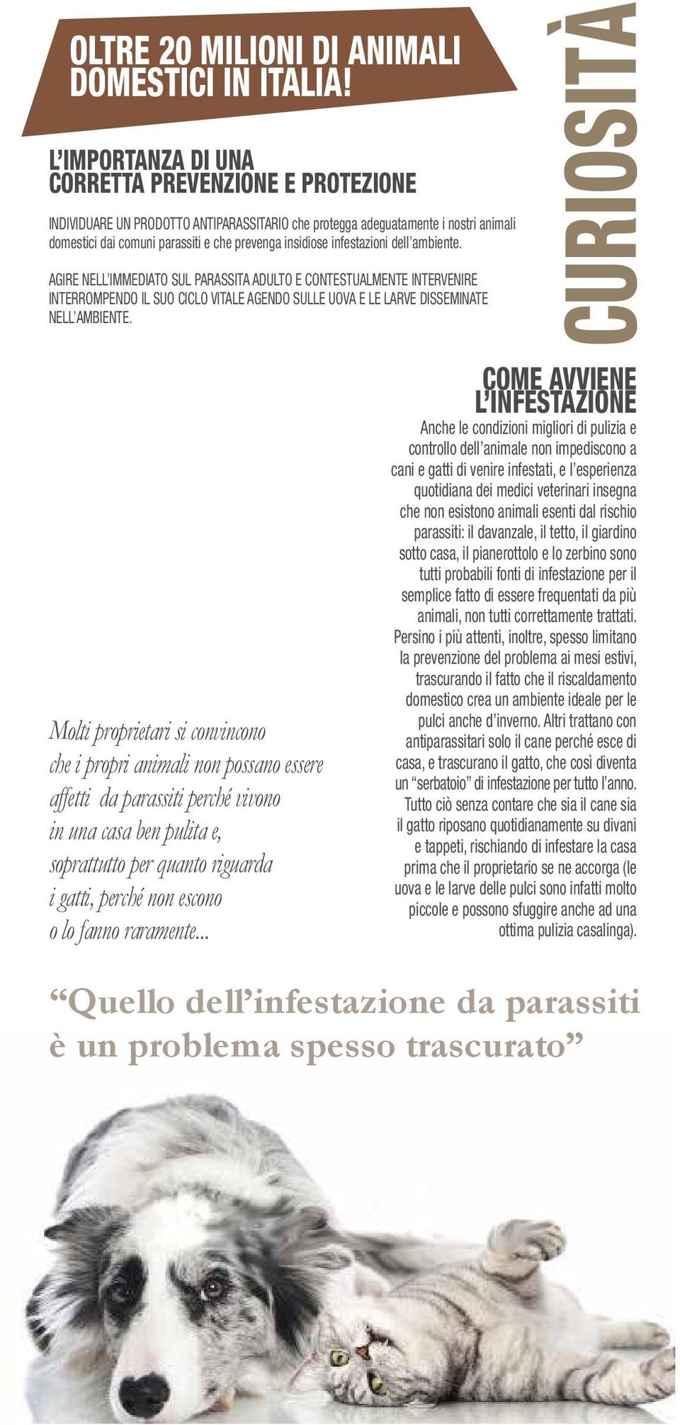 infestazioni dell ambiente. AGIRE NELL IMMEDIATO SUL PARASSITA ADULTO E CONTESTUALMENTE INTERVENIRE INTERROMPENDO IL SUO CICLO VITALE AGENDO SULLE UOVA E LE LARVE DISSEMINATE NELL AMBIENTE.