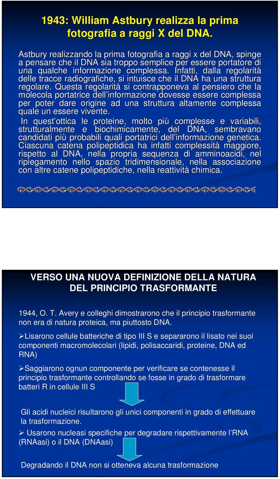 Infatti, dalla regolarità delle tracce radiografiche, si intuisce che il DNA ha una struttura ura regolare.