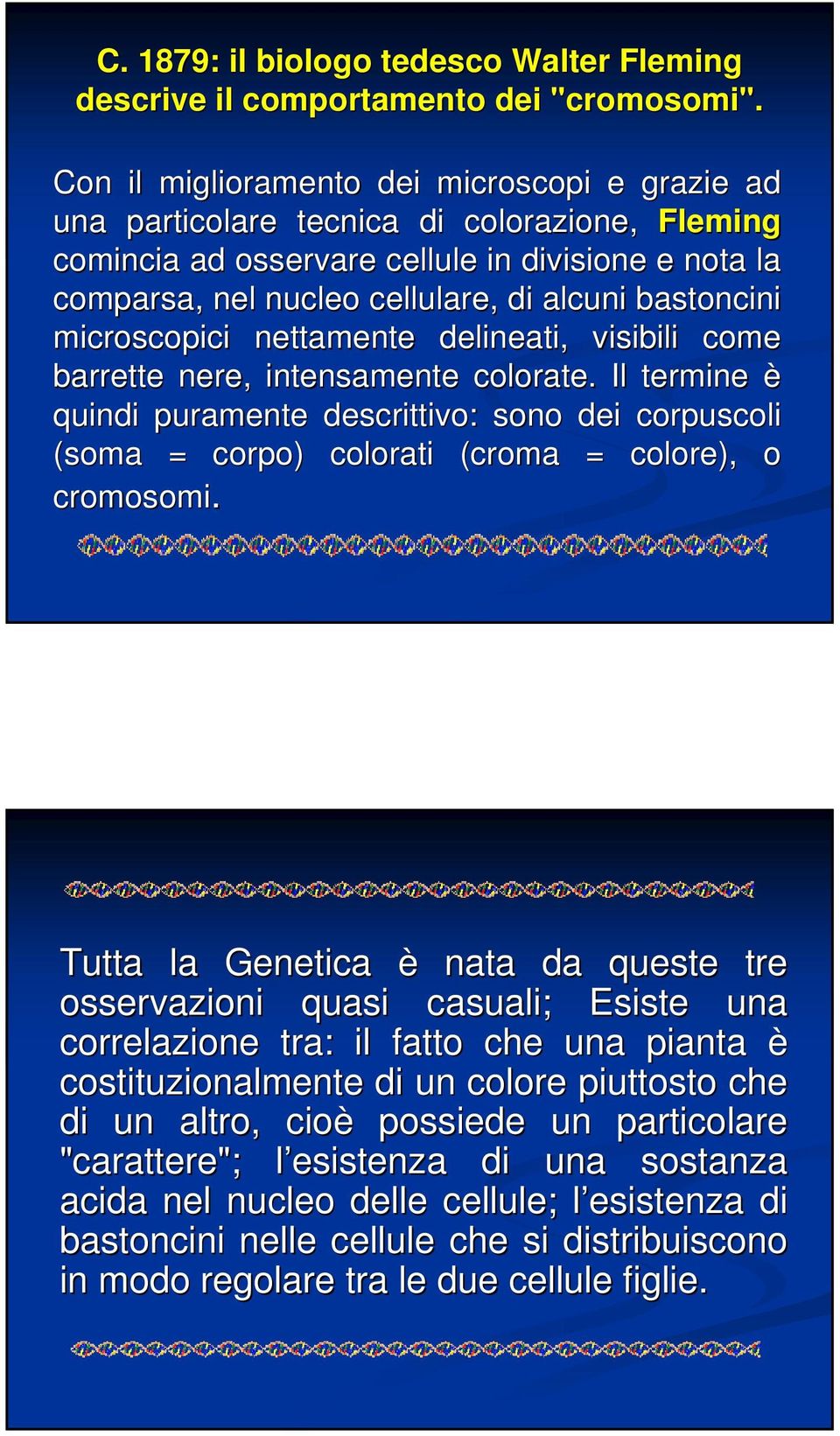 bastoncini microscopici nettamente delineati, visibili come barrette nere, intensamente colorate.