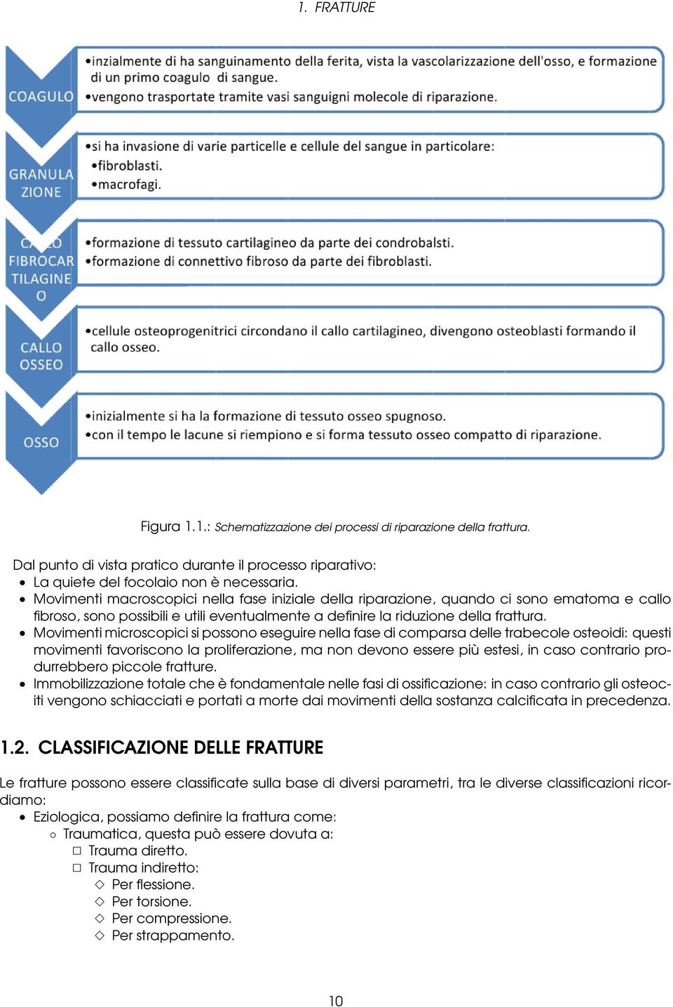 Movimenti microscopici si possono eseguire nella fase di comparsa delle trabecole osteoidi: questi movimenti favoriscono la proliferazione, ma non devono essere più estesi, in caso contrario