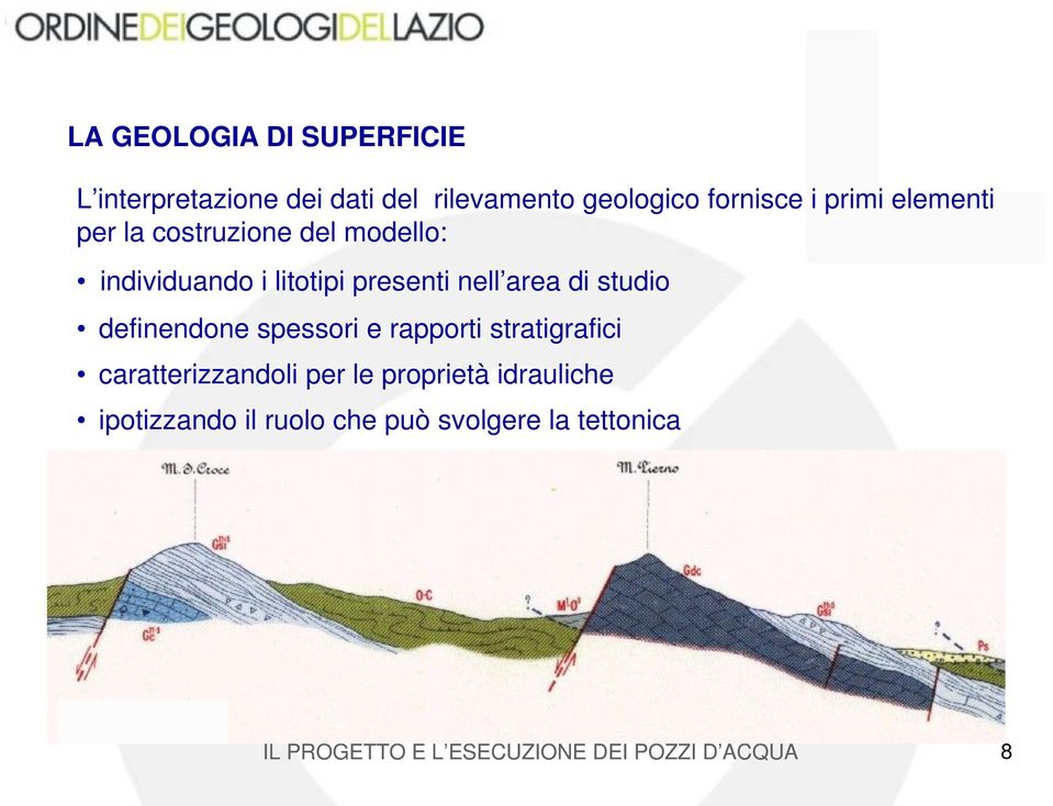 presenti nell area di studio definendone spessori e rapporti stratigrafici