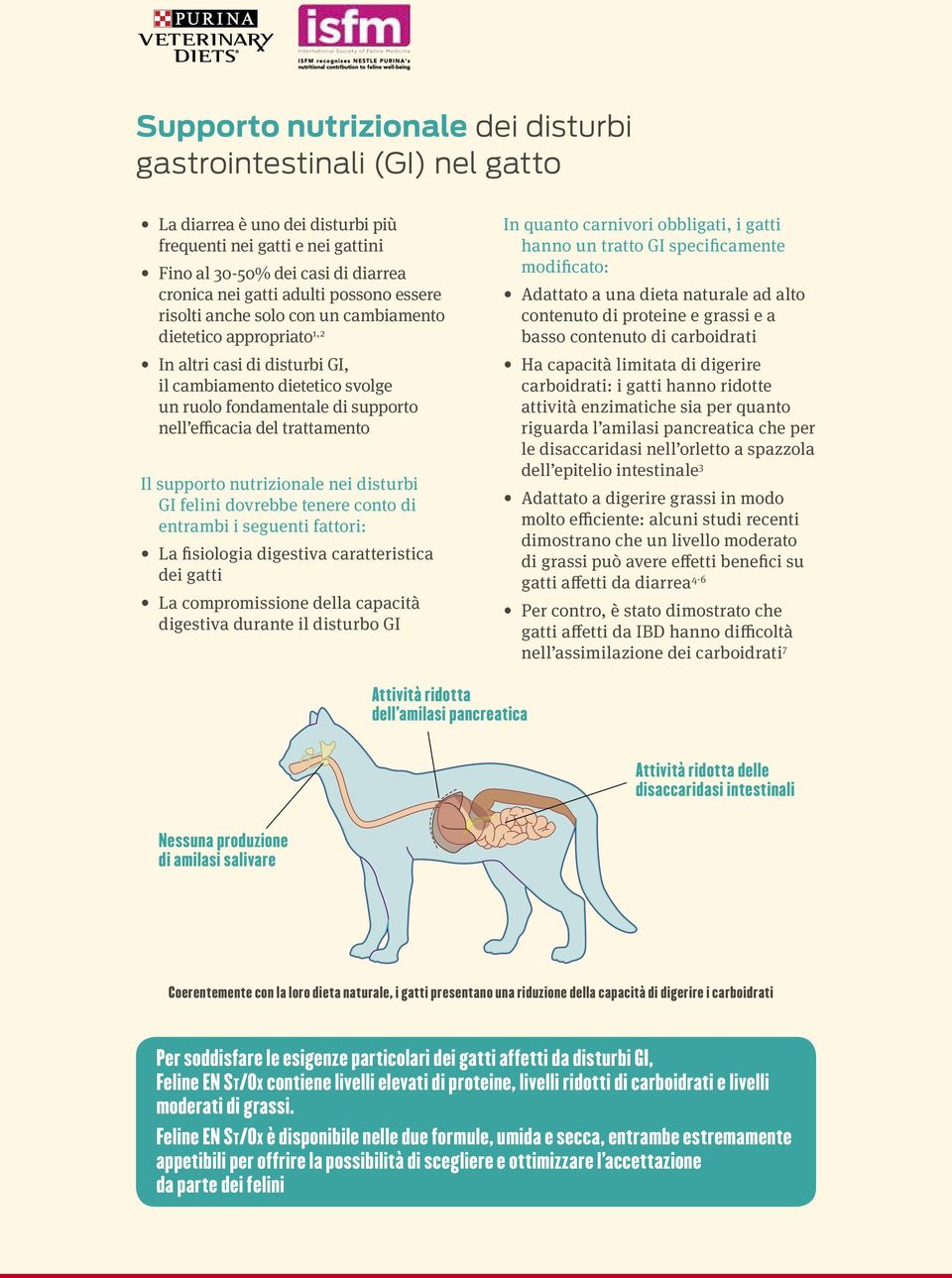 supporto nell efficacia del trattamento Il supporto nutrizionale nei disturbi GI felini dovrebbe tenere conto di entrambi i seguenti fattori: La fisiologia digestiva caratteristica dei gatti La