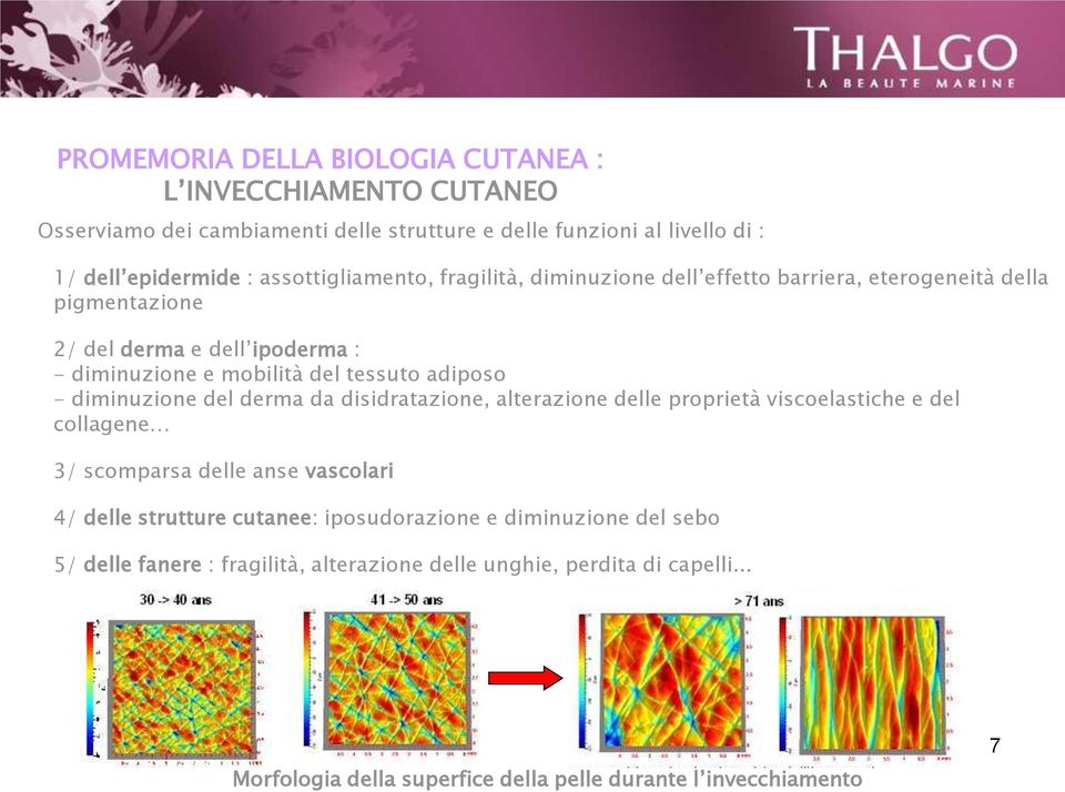 adiposo - diminuzione del derma da disidratazione, alterazione delle proprietà viscoelastiche e del collagene 3/ scomparsa delle anse vascolari 4/ delle strutture