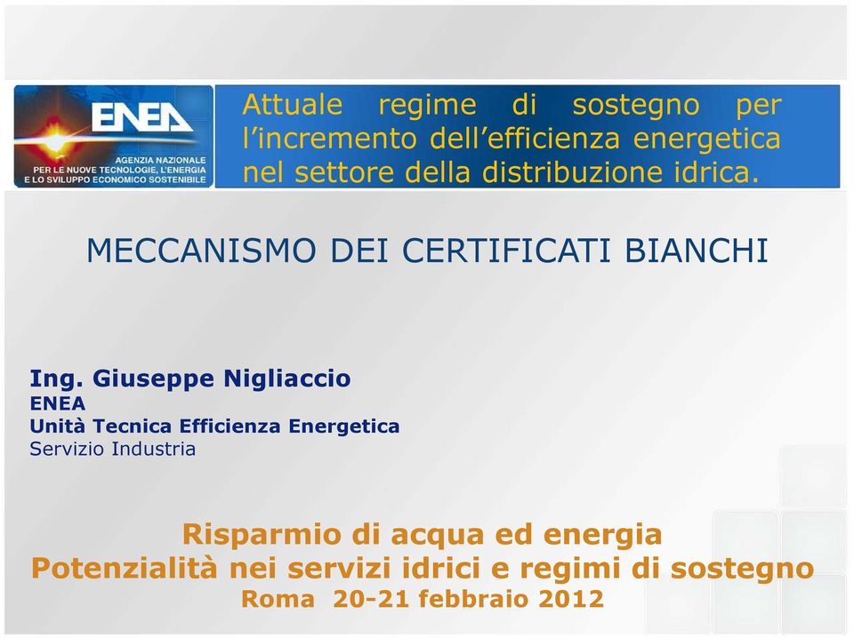 Giuseppe Nigliaccio ENEA Unità Tecnica Efficienza Energetica Servizio Industria