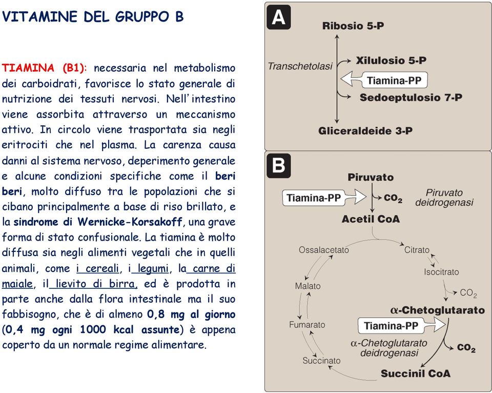 La carenza causa danni al sistema nervoso, deperimento generale e alcune condizioni specifiche come il beri beri, molto diffuso tra le popolazioni che si cibano principalmente a base di riso