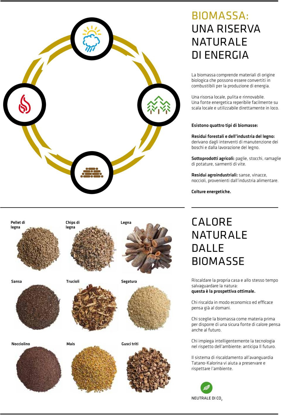 Esistono quattro tipi di biomasse: Residui forestali e dell industria del legno: derivano dagli interventi di manutenzione dei boschi e dalla lavorazione del legno.