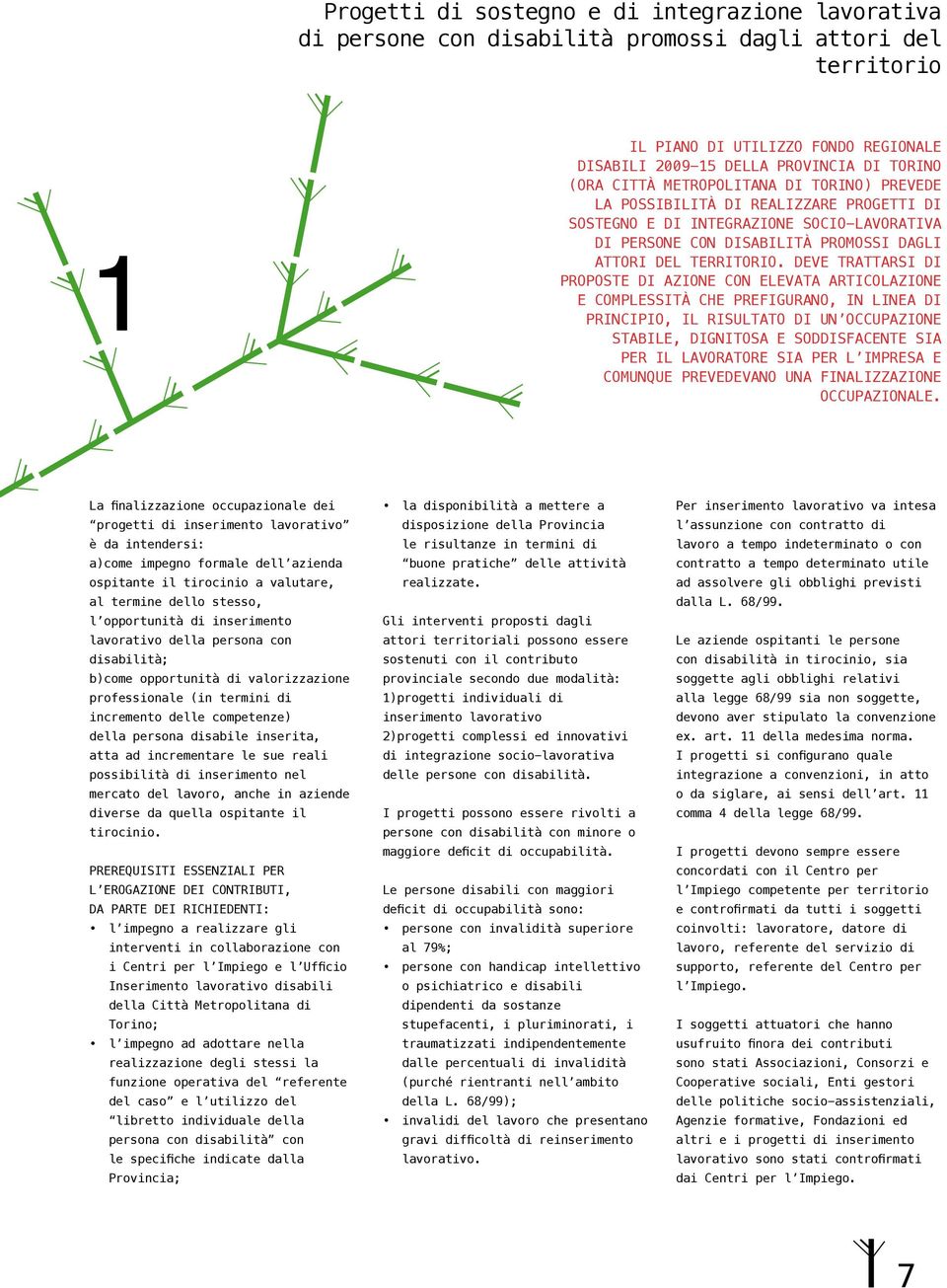 DEVE TRATTARSI DI PROPOSTE DI AZIONE CON ELEVATA ARTICOLAZIONE E COMPLESSITÀ CHE PREFIGURANO, IN LINEA DI PRINCIPIO, IL RISULTATO DI UN OCCUPAZIONE STABILE, DIGNITOSA E SODDISFACENTE SIA PER IL