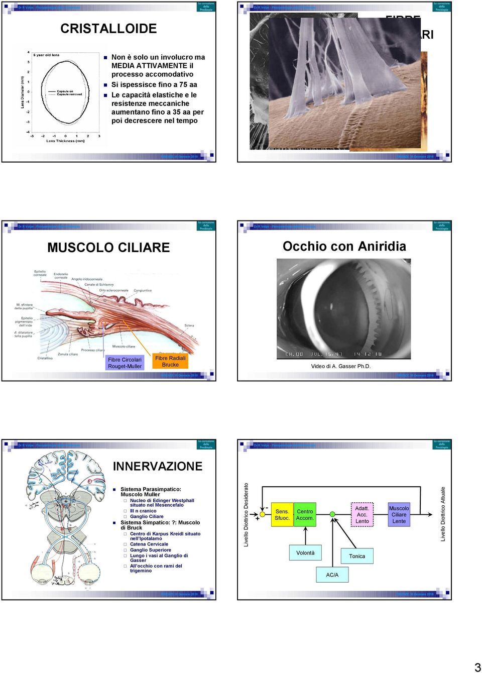 INNERVAZIONE Sistema Parasimpatico: Muscolo Muller Nucleo di Edinger Westphall situato nel Mesencefalo III n cranico Ganglio Ciliare Sistema Simpatico:?