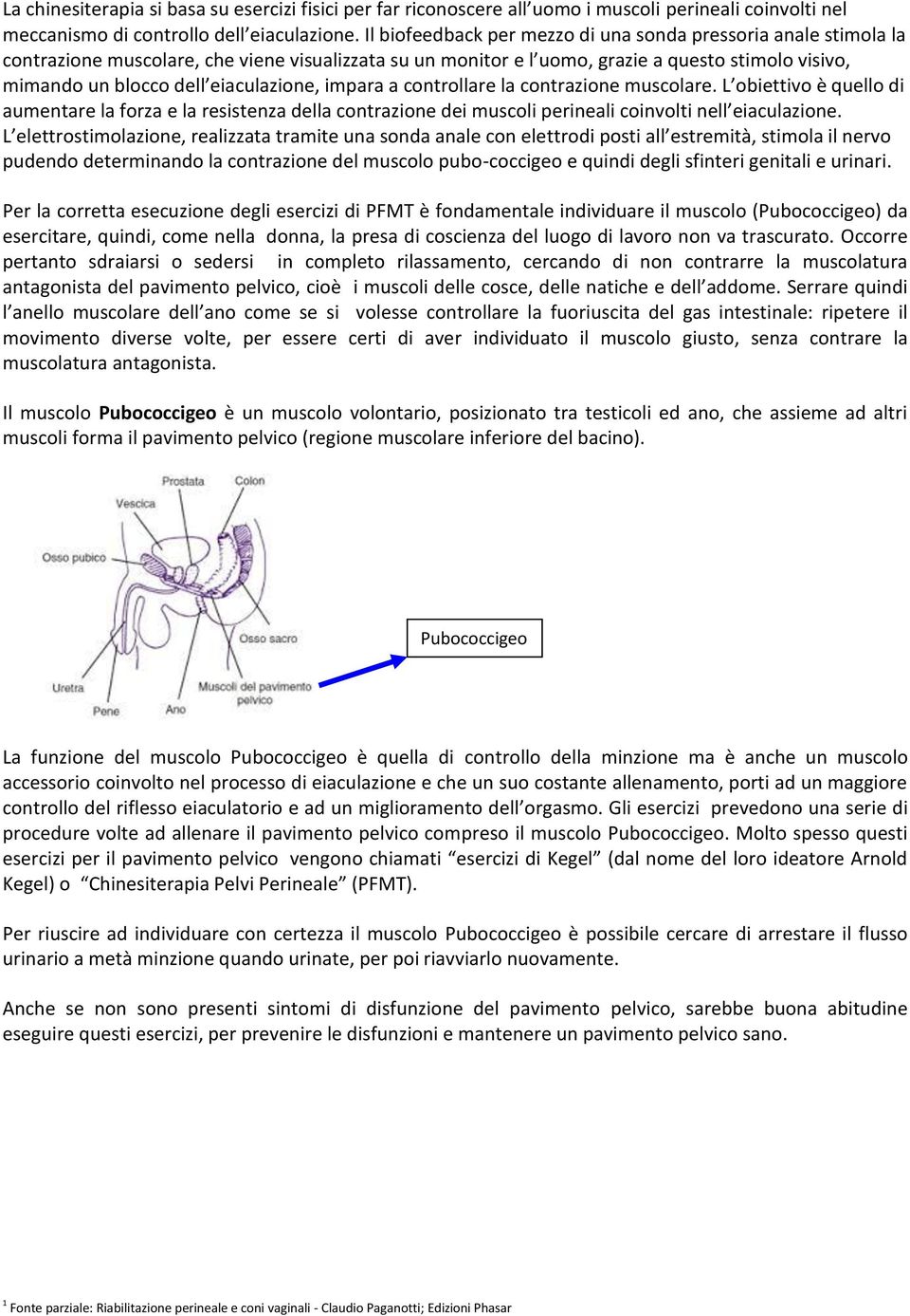 eiaculazione, impara a controllare la contrazione muscolare. L obiettivo è quello di aumentare la forza e la resistenza della contrazione dei muscoli perineali coinvolti nell eiaculazione.