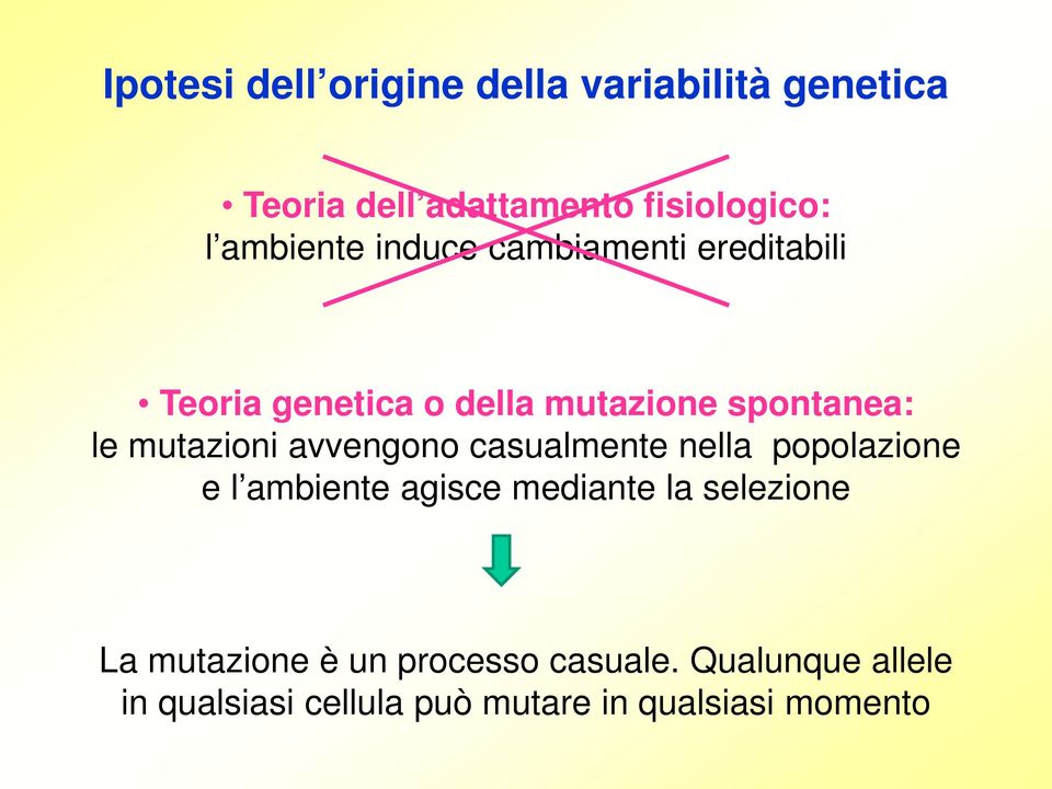 mutazioni avvengono casualmente nella popolazione e l ambiente agisce mediante la selezione