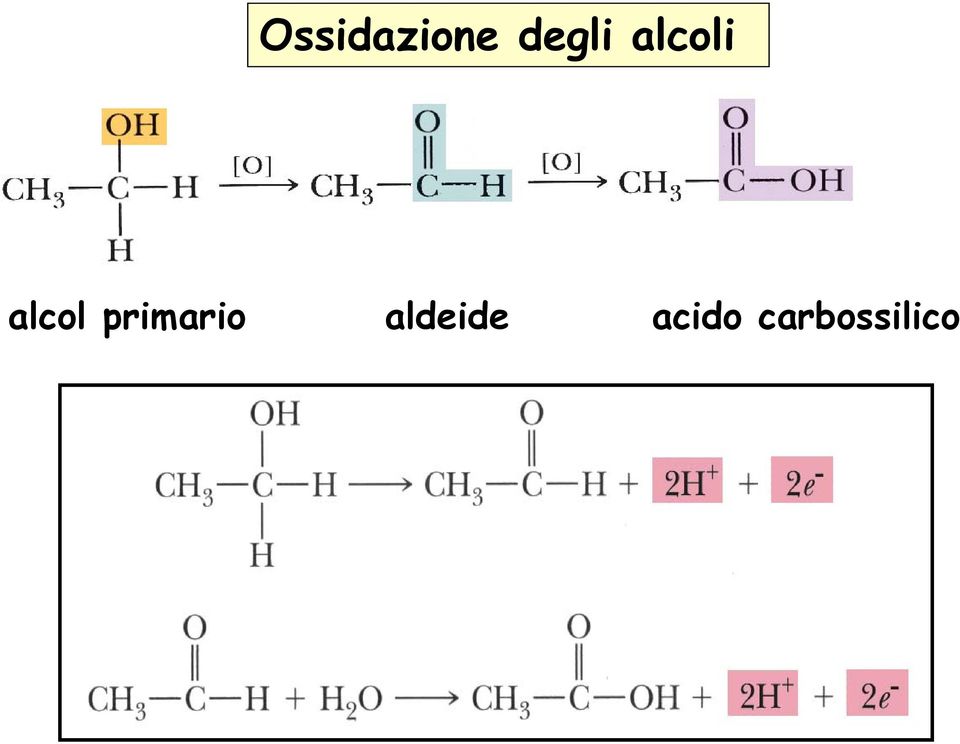 alcol primario