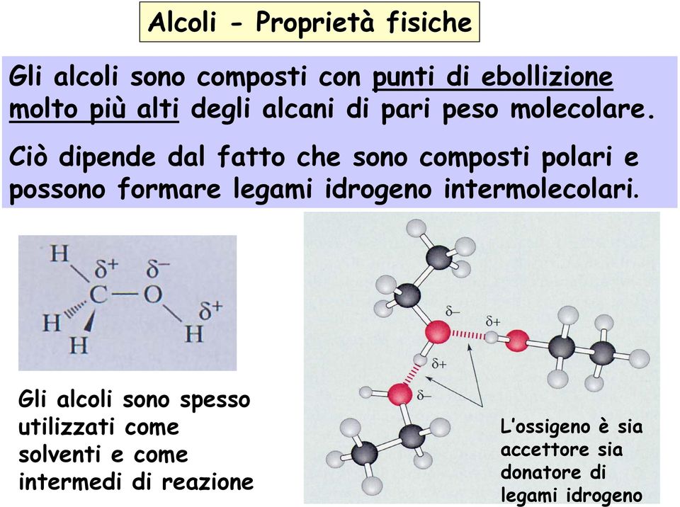 Ciò dipende dal fatto che sono composti polari e possono formare legami idrogeno