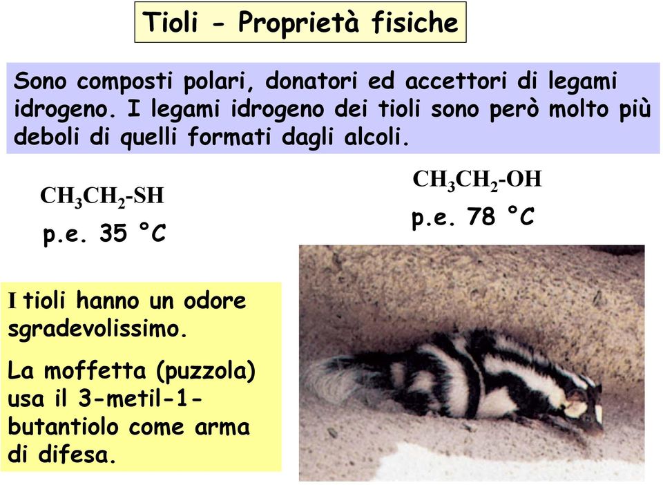 I legami idrogeno dei tioli sono però molto più deboli di quelli formati dagli