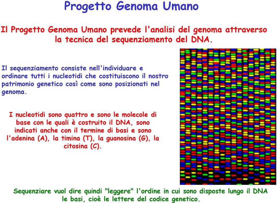 genoma.