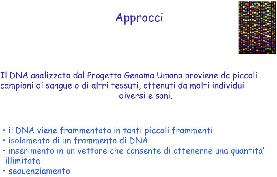 il DNA viene frammentato in tanti piccoli frammenti isolamento di un frammento di