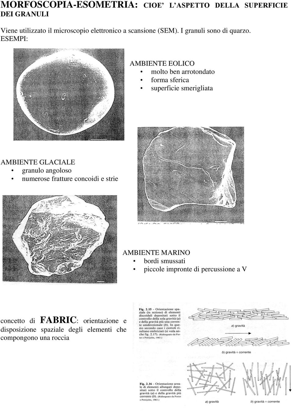 ESEMPI: AMBIENTE EOLICO molto ben arrotondato forma sferica superficie smerigliata AMBIENTE GLACIALE granulo angoloso