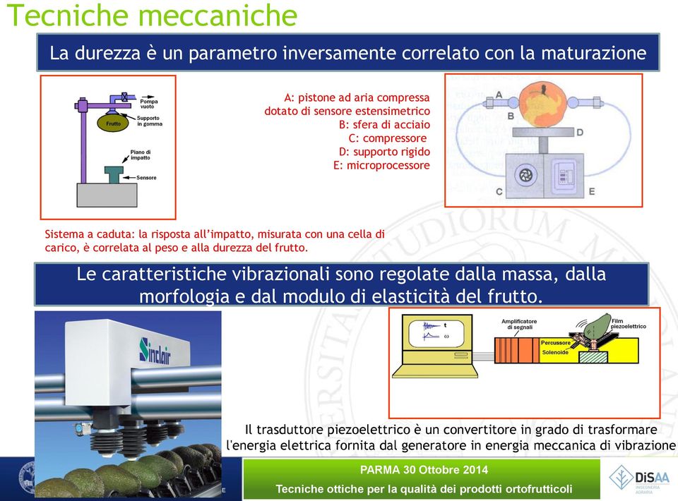 correlata al peso e alla durezza del frutto.