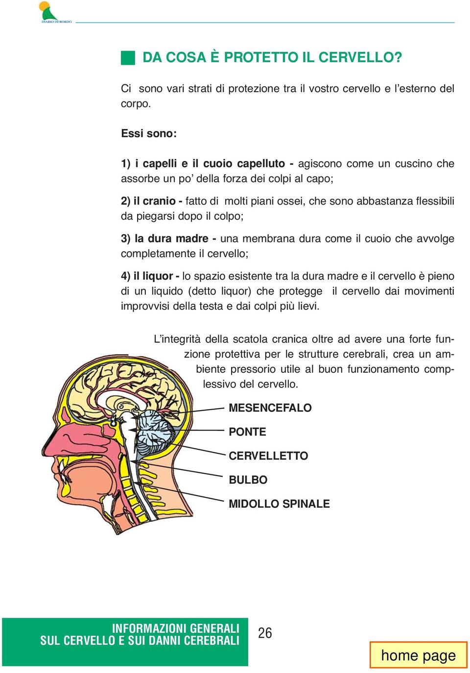 piegarsi dopo il colpo; 3) la dura madre - una membrana dura come il cuoio che avvolge completamente il cervello; 4) il liquor - lo spazio esistente tra la dura madre e il cervello è pieno di un