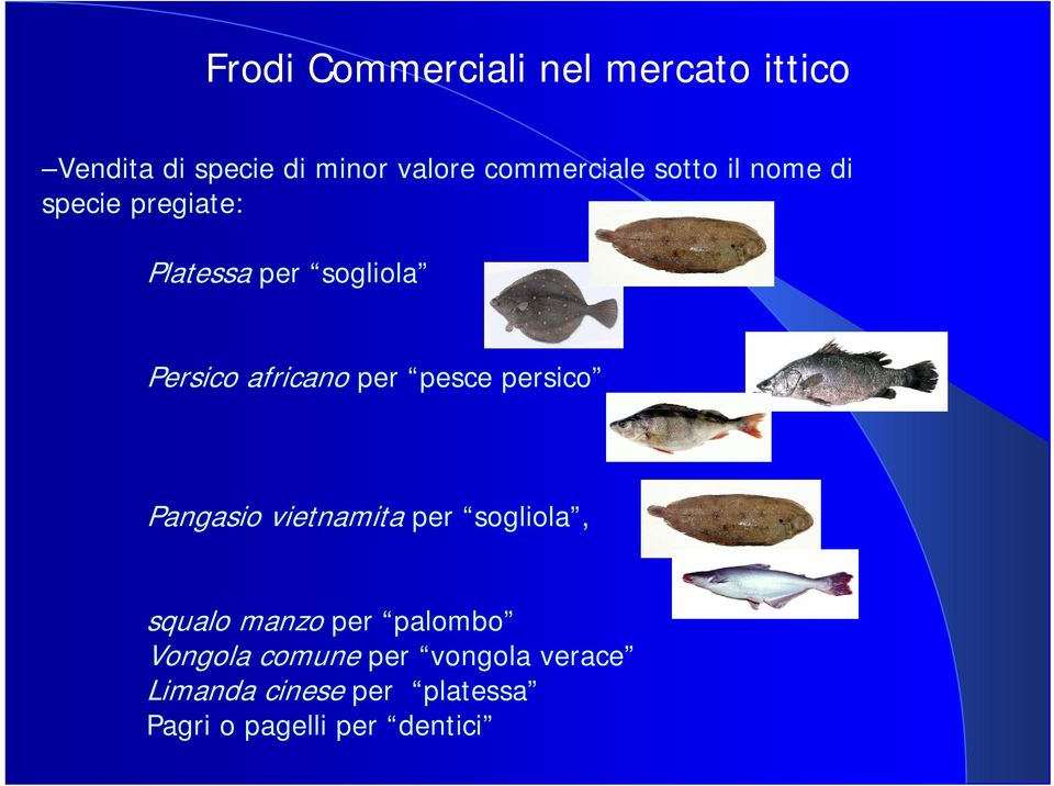 africano per pesce persico Pangasio vietnamita per sogliola, squalo manzo per