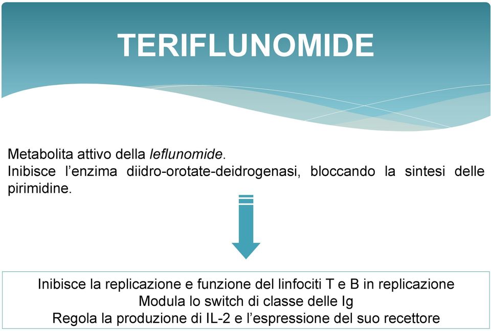 pirimidine.