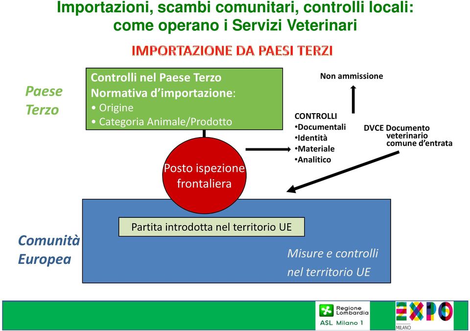 Identità Materiale Analitico DVCE Documento veterinario comune d entrata Comunità