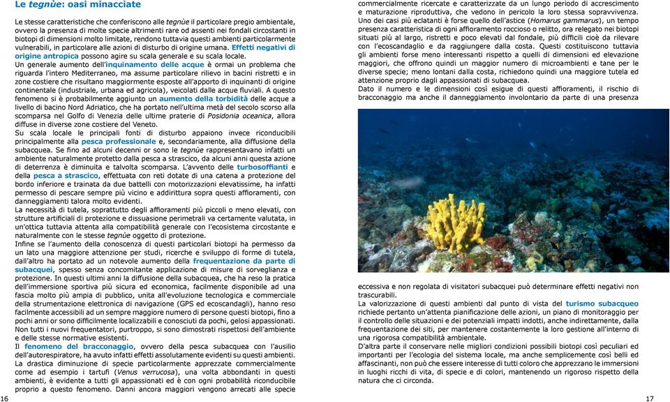 Effetti negativi di origine antropica possono agire su scala generale e su scala locale.