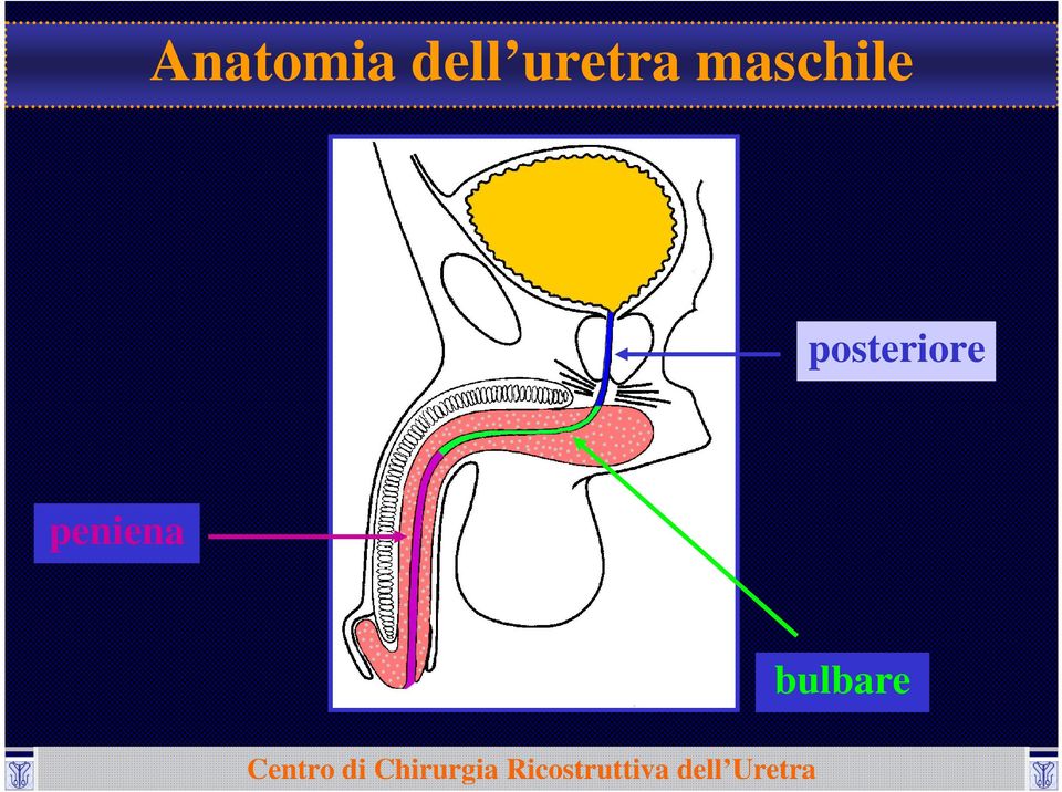 maschile