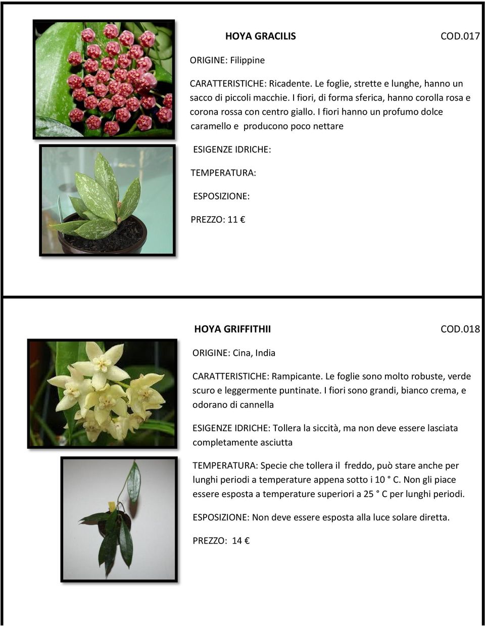 I fiori hanno un profumo dolce caramello e producono poco nettare ESIGENZE IDRICHE: TEMPERATURA: ESPOSIZIONE: PREZZO: 11 HOYA GRIFFITHII COD.018 ORIGINE: Cina, India CARATTERISTICHE: Rampicante.