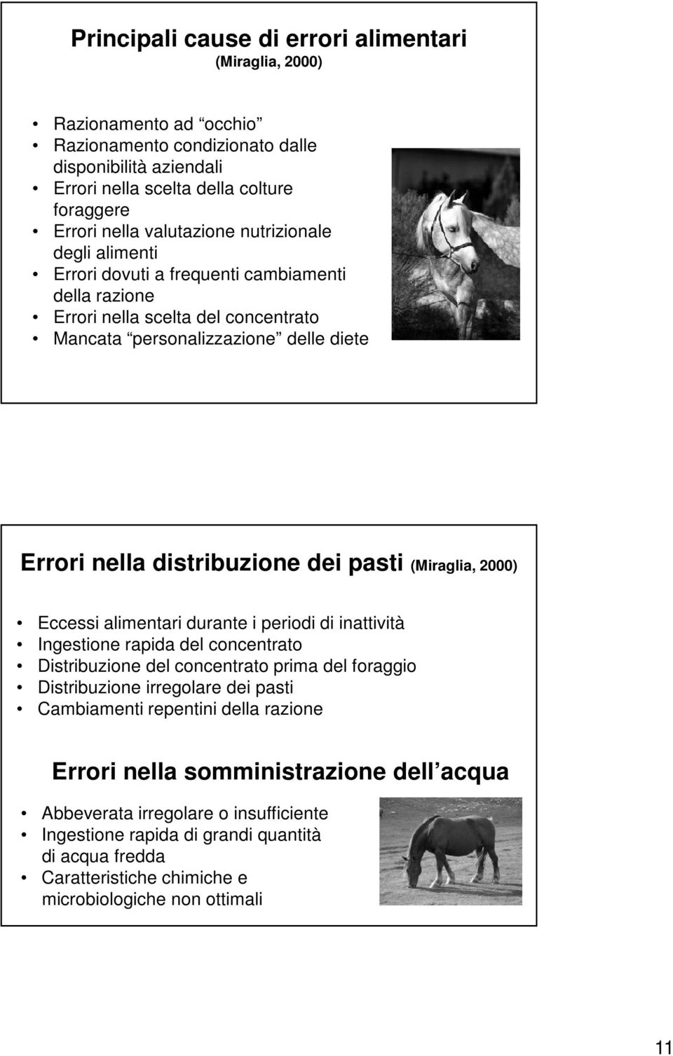 pasti (Miraglia, 2000) Eccessi alimentari durante i periodi di inattività Ingestione rapida del concentrato Distribuzione del concentrato prima del foraggio Distribuzione irregolare dei pasti