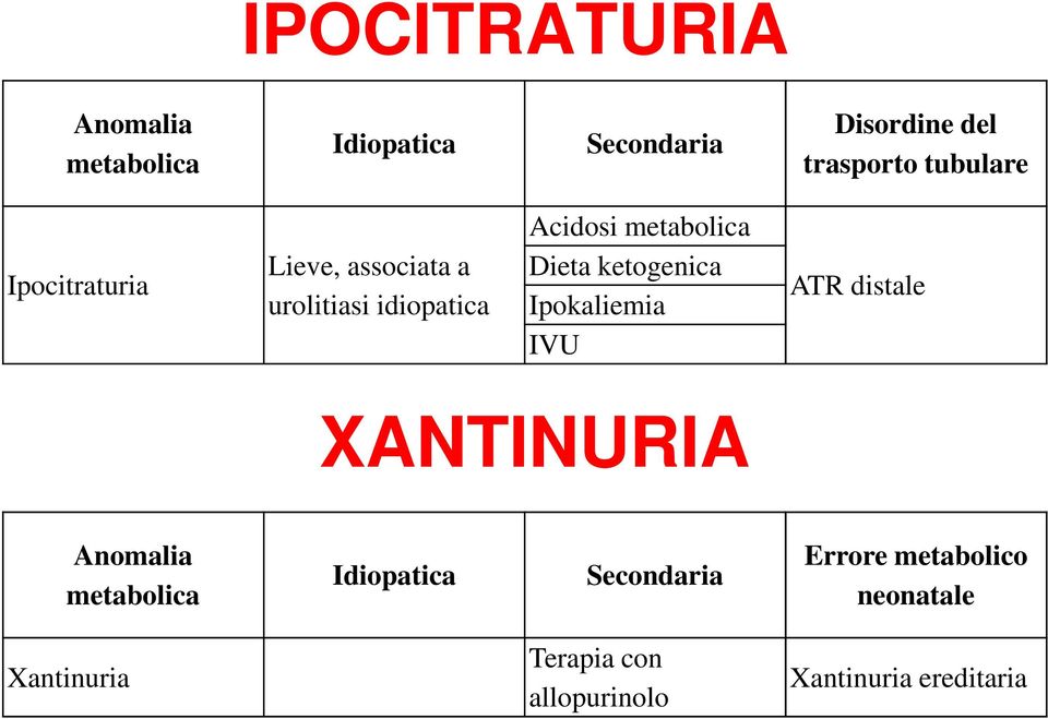 Dieta ketogenica Ipokaliemia IVU ATR distale XANTINURIA Anomalia metabolica Idiopatica
