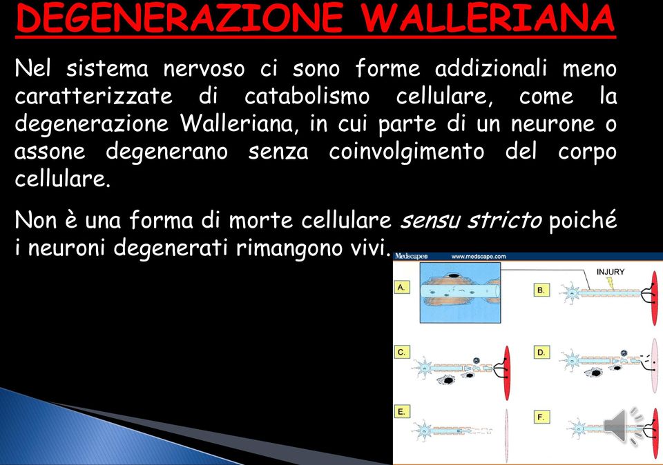 parte di un neurone o assone degenerano senza coinvolgimento del corpo cellulare.