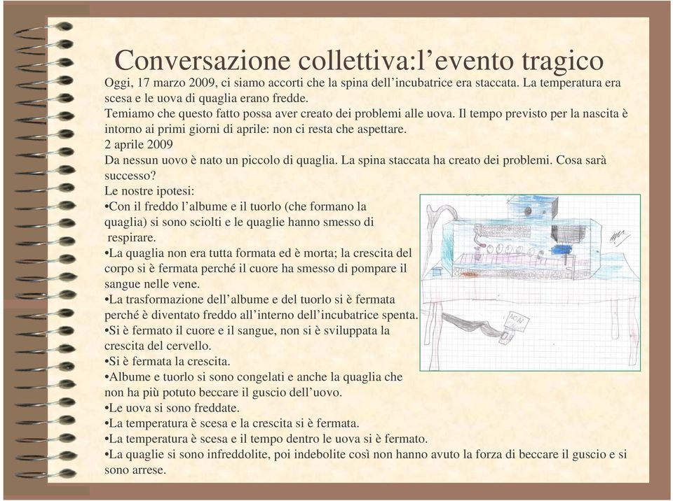 2 aprile 2009 Da nessun uovo è nato un piccolo di quaglia. La spina staccata ha creato dei problemi. Cosa sarà successo?