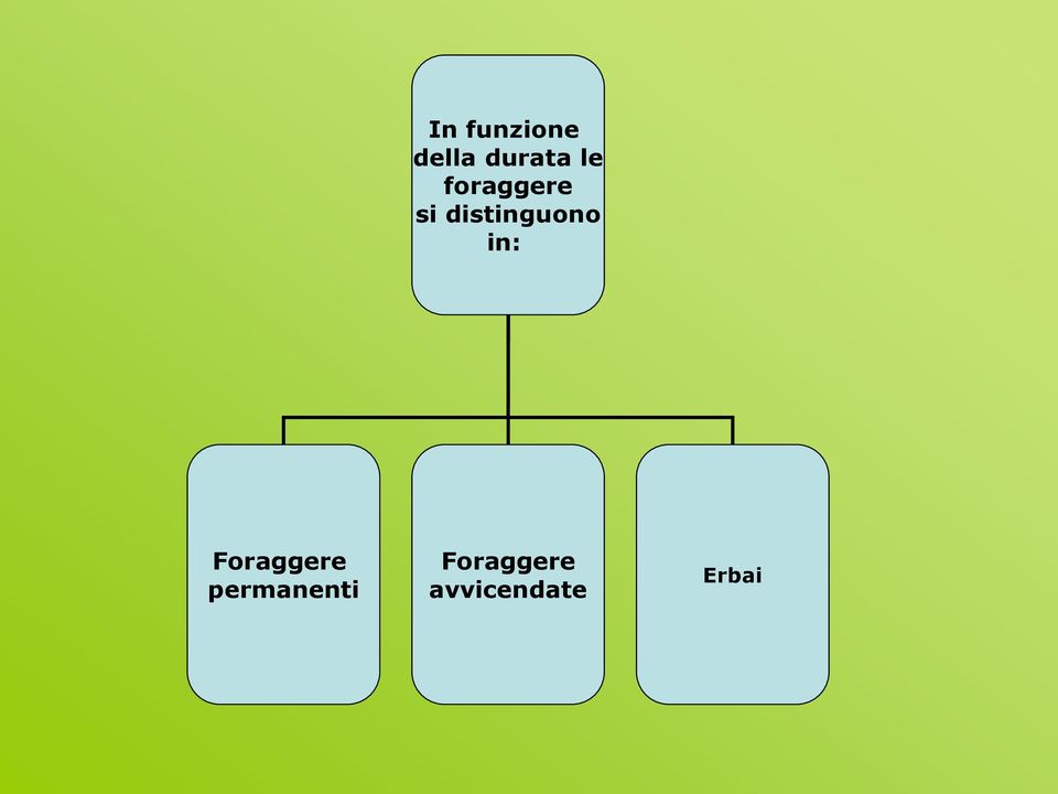 distinguono in: Foraggere