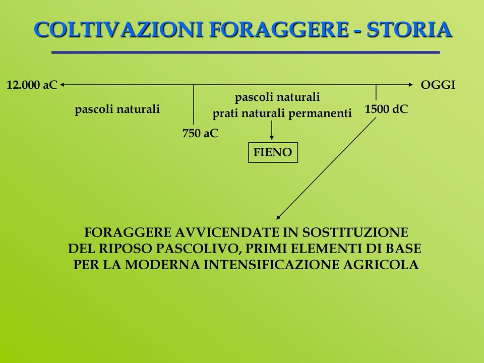 permanenti 1500 dc 750 ac FIENO FORAGGERE AVVICENDATE IN