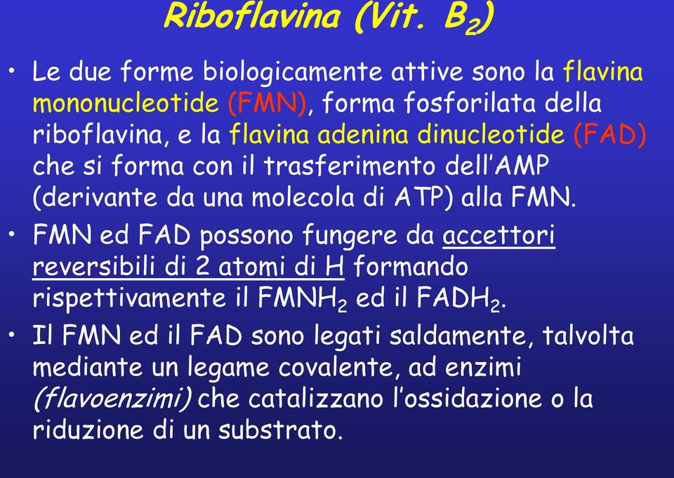 FMN ed FAD possono fungere da accettori reversibili di 2 atomi di H formando rispettivamente il FMNH 2 ed il FADH 2.