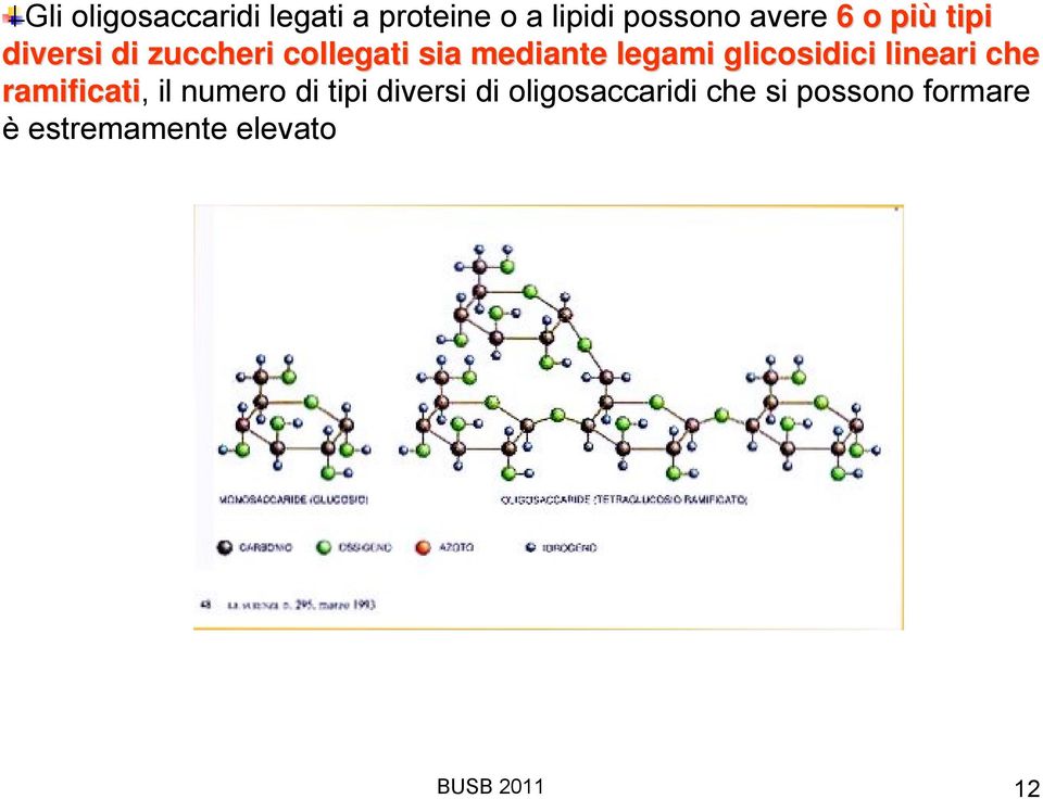 glicosidici lineari che ramificati, il numero di tipi diversi di