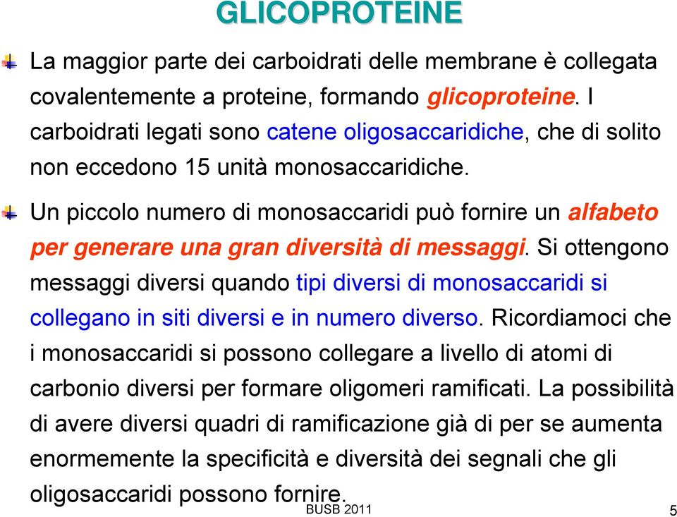 Un piccolo numero di monosaccaridi può fornire un alfabeto per generare una gran diversità di messaggi.