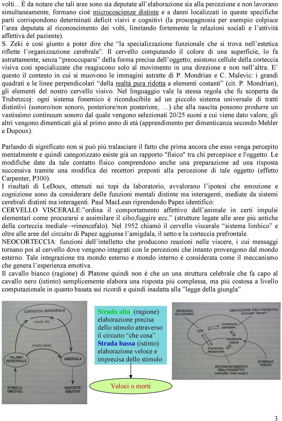 parti corrispondono determinati deficit visivi e cognitivi (la prosopagnosia per esempio colpisce l area deputata al riconoscimento dei volti, limitando fortemente le relazioni sociali e l attività