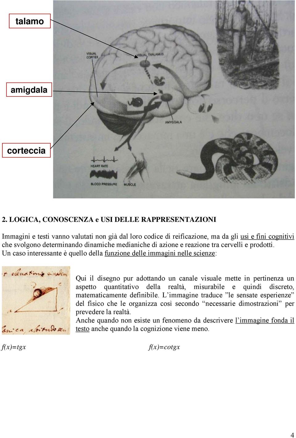 medianiche di azione e reazione tra cervelli e prodotti.