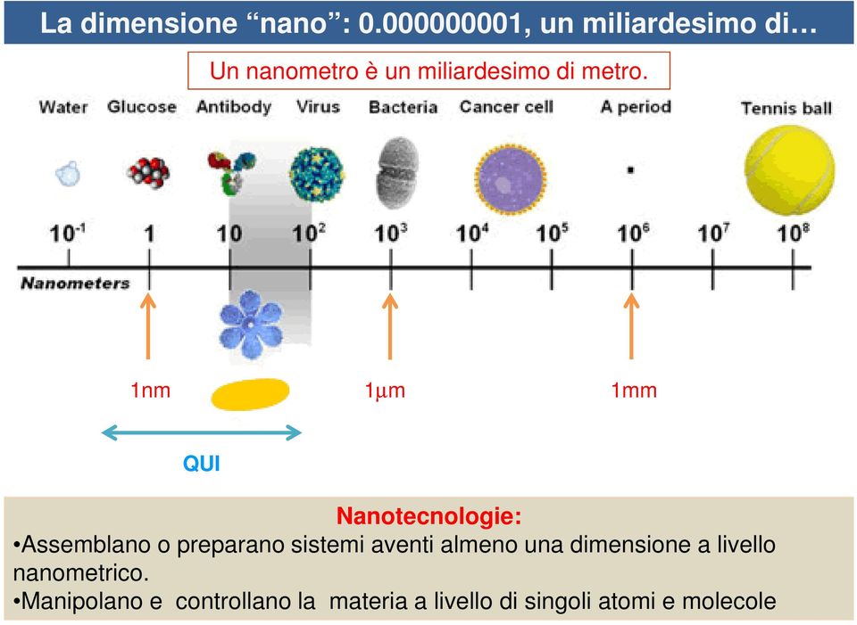 1nm 1µm 1mm QUI Nanotecnologie: Assemblano o preparano sistemi aventi