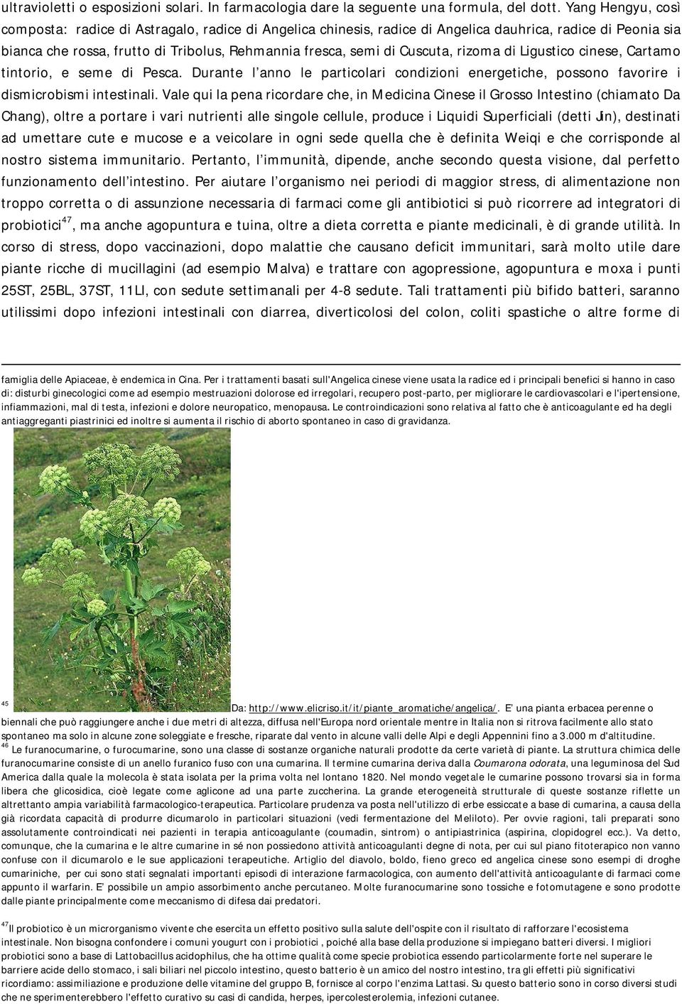 Cuscuta, rizoma di Ligustico cinese, Cartamo tintorio, e seme di Pesca. Durante l anno le particolari condizioni energetiche, possono favorire i dismicrobismi intestinali.