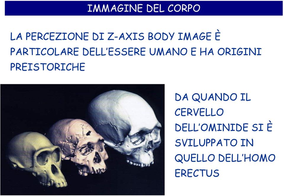 ORIGINI PREISTORICHE DA QUANDO IL CERVELLO DELL