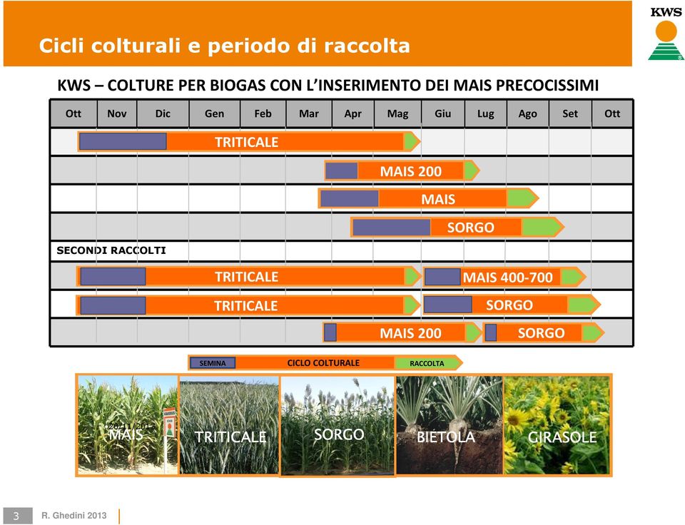 TRITICALE MAIS 200 MAIS SORGO TRITICALE MAIS 400-700 TRITICALE MAIS 200 SORGO SORGO