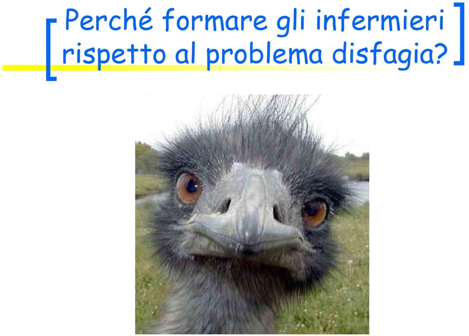 rispetto al