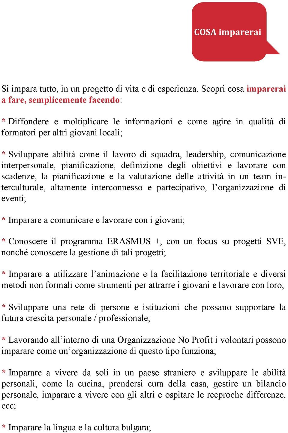 squadra, leadership, comunicazione interpersonale, pianificazione, definizione degli obiettivi e lavorare con scadenze, la pianificazione e la valutazione delle attività in un team interculturale,